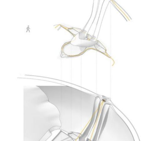 BradKohlroserSchwarzwimmer_diagram2_ss14_WG.jpg