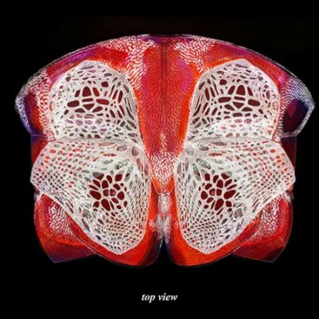 martinlai_davidruesskamp_diagram_secgrowth_topview_WS1819_WG.jpg