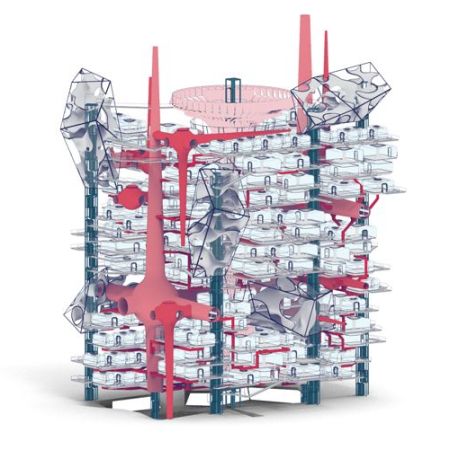 Androsch_Koops_diagram02_ws_2021_WG.jpg